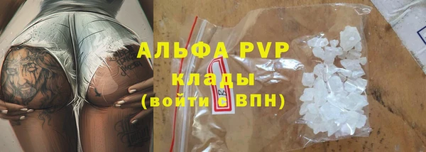 шишки Дмитров