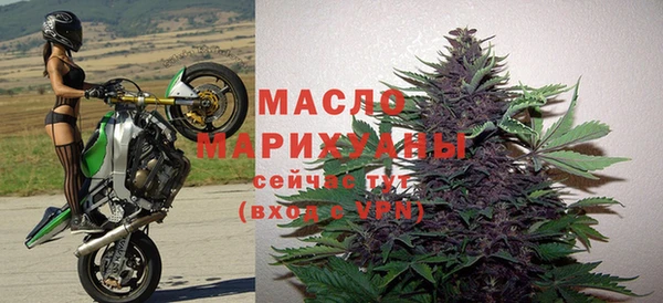 стаф Дмитриев