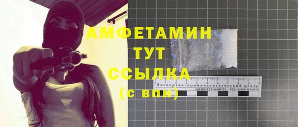 стаф Дмитриев