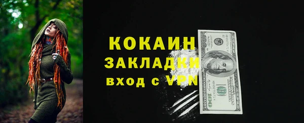 стаф Дмитриев