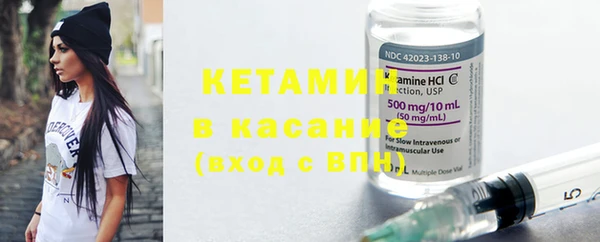 стаф Дмитриев