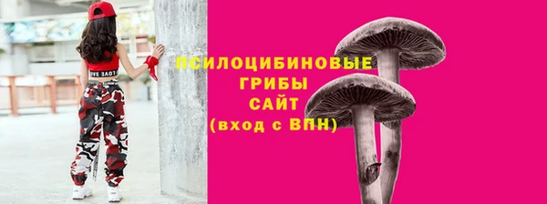 шишки Дмитров