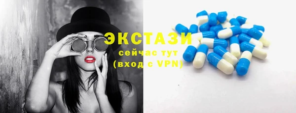 стаф Дмитриев