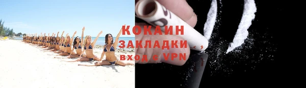 шишки Дмитров