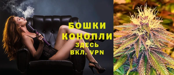 шишки Дмитров