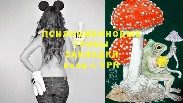 стаф Дмитриев
