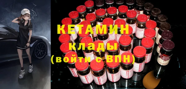 шишки Дмитров