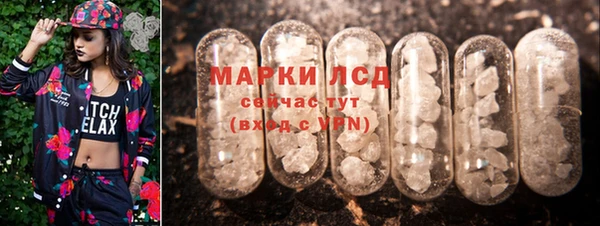 стаф Дмитриев