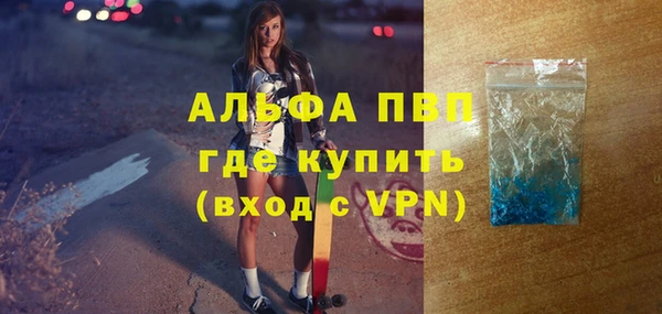 шишки Дмитров