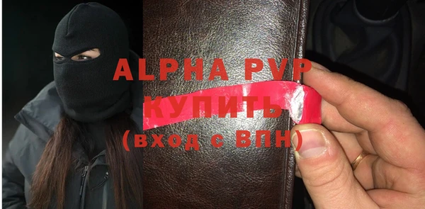 стаф Дмитриев