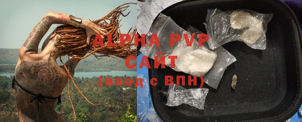 стаф Дмитриев