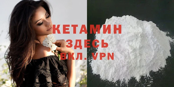 шишки Дмитров