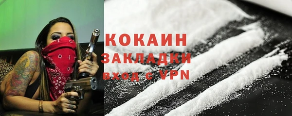 шишки Дмитров