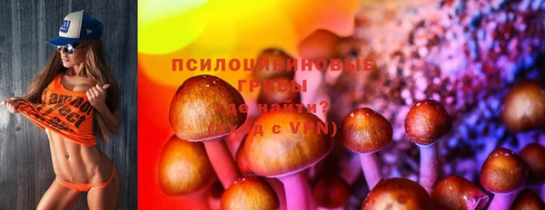 шишки Дмитров